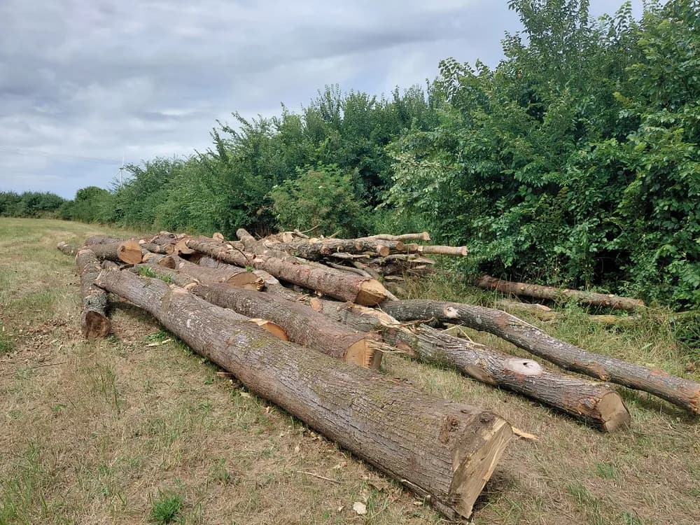 Production de bois de chauffage Linard